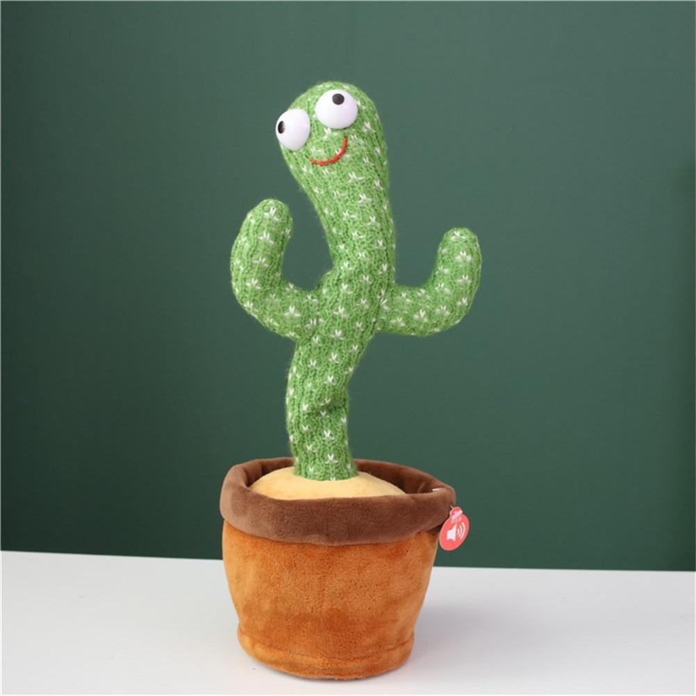 Cactus de baile